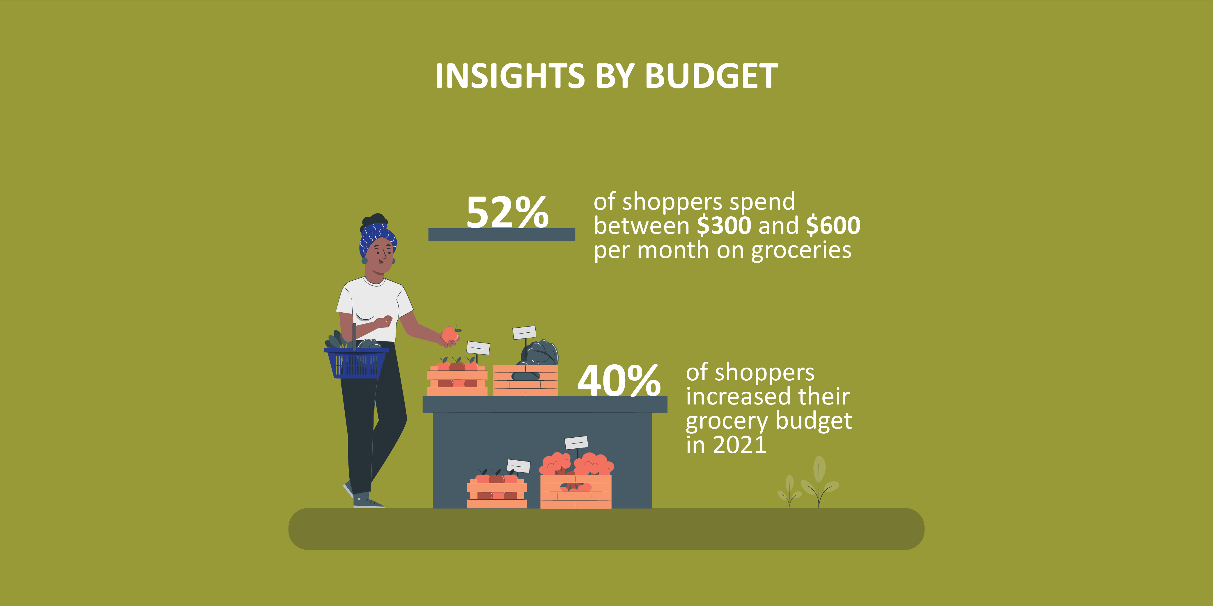 budget insight-01-1